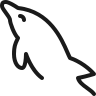 C#